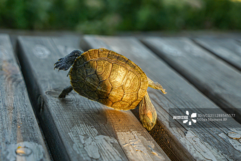 ebe6c124cf6b1b4b94fbe9dd5a33f57ed6a39bd228ee2-TjChmO