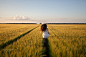 woman run  in yellow wheat field