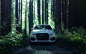 Audi Q3 in a Redwood Forest : Audi Q3 in a Redwood Forest. Photographed for Audi USA social media channels.