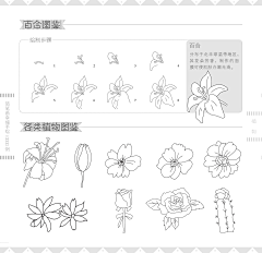 糖鱼采集到简笔画