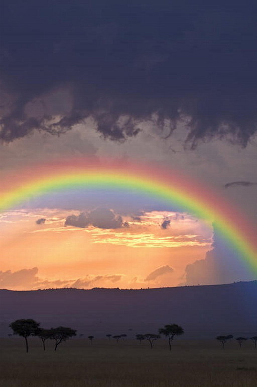 【肯尼亞】在馬賽馬拉，暴風雨後的天空和彩...