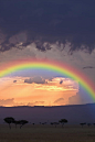 【肯尼亞】在馬賽馬拉，暴風雨後的天空和彩虹。
