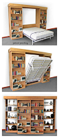 Library Murphy Bed