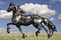 美国南达科他州的雕塑艺术家约翰洛佩兹的焊接金属动物雕塑作品!!