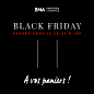 TEASING BLACK FRIDAY// Blackbirdgraphik