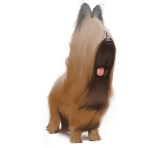 Dog caricature , Ste...