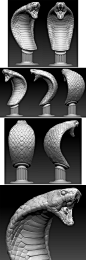 3D打印图蛇头摆件模型生物头雕建模参考写实动物三维模型