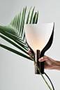 lighting product design  Lamp