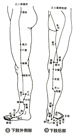 夏树1采集到中医穴位