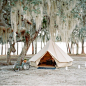 shelter-co:

Our tent and that tree are perfection!  Regram from @mrsvalwaters who’s Florida camp wedding last year was one of our favorites. Planning and design by @alison_events and flowers by @nataliebdesigns.