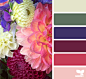 flora palette