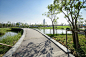 泰国曼谷的大型抗洪雨水公园 Chulalongkorn Centenary Park  /  LANDPROCESS : LANDPROCESS ：曼谷正在下沉，这座拥有2000万人口的城市，正以每年超过1厘米的速度下沉，最快可能在2030年低于海平面。这座泰国首都横跨湄南河三角洲，曾因其发达的运河脉络而被称为东方威尼斯。曾经大量的农业用地吸收了季节性洪水和季风降雨;如今，由于...