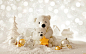General 2560x1600 teddy bears Christmas Christmas ornaments 