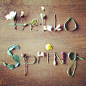 Inspiration for springtime fresh celebrations & photo stories #photography #spring #decor