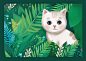 Aromaticat : Project:Silica gel cat litter AromaticatTask:To develop the name and the creative visual concept of the silica gel cat litter brand.Problem:Choice of cat litter is a delicate subject. On the one hand it has to be comfortable for the pet, yet 