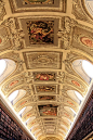 Architecture, Plafond Sénat