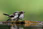 Old and young by Roland Felten on 500px