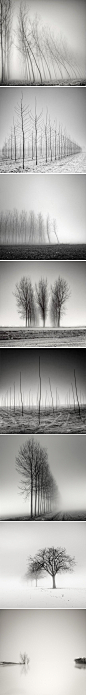 瑞士摄影师Pierre Pellegrini 利用延时的手法拍摄的一组树景。摄影师表示，摄影是一个美妙的平均沟通，并在同一时间，让观众有机会感受到的情绪。