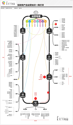 罗菩堤rowe采集到【图表】思维导图