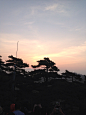 丹霞峰观日出。在松树的缝隙里露出个小红脸