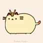 Pusheen the cat