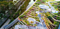 泰国国立法政大学屋顶农场 / LANDPROCESS – mooool木藕设计网