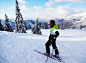 alpine skier, winter, skis