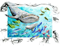素材分享-海洋生物_4_少儿美术素材搜罗官_来自小红书网页版