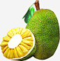 新鲜菠萝蜜水果热带水果png免抠素材_新图网 https://ixintu.com 新鲜,菠萝蜜,热带,水果