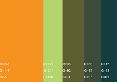 BEI___采集到配色板让我变色盲了。