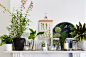 7 Easy Ways To Create Botanical Style At Home