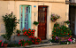 鲜花，房子，卢瓦尔河谷，法国