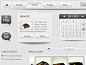 iGuoguo 爱果果酷站 » 精美的灰色网页设计UI素材主题包（二）