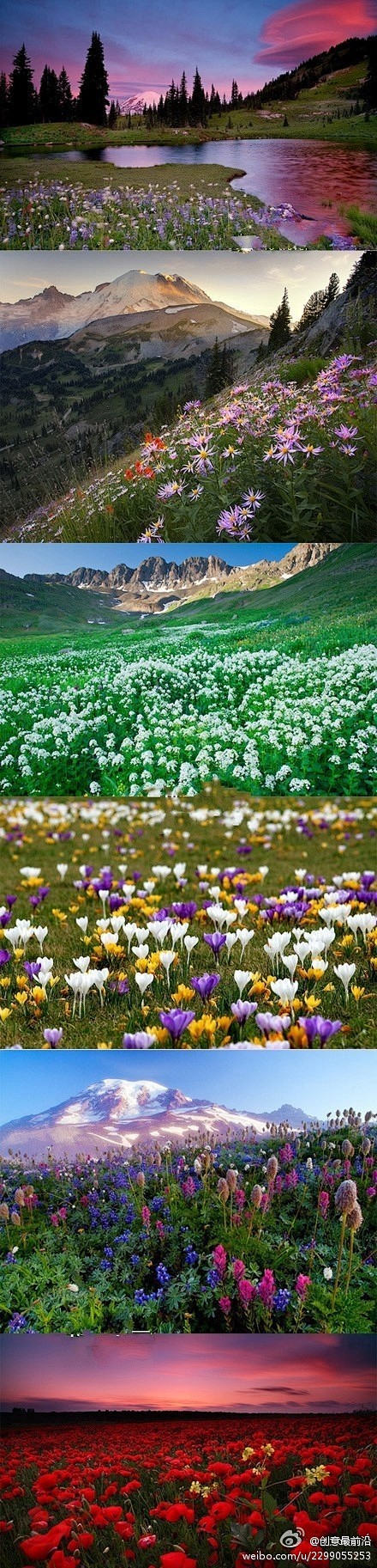 草根阿伯揭露专区：这个世界的美丽超出你的...