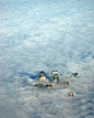飞机上拍摄的英国伦敦，打开窗就能碰到云了。