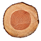 木头 材质 木纹 
