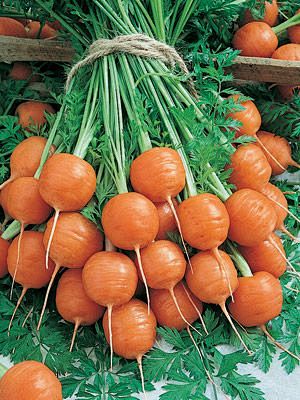 Parisian Carrots (55...