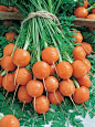 Parisian Carrots (55 days)...A great little round carrot that is a nineteenth-century French heirloom.  It "excels in clay or rocky soil where other carrots have problems developing properly".  They say it works great for containers.: 