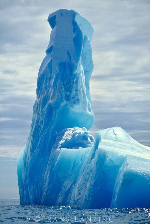 Blue Iceberg, Antarc...