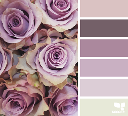 rose tones