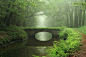 General 2047x1364 bridges forests rivers moss ferns green