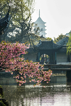 白脸小六采集到小场景