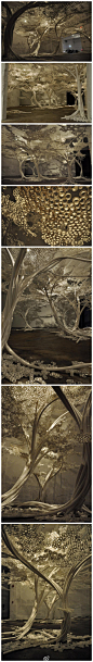 omom网：最近艺术家Tom Price在华盛顿的个展即将展出他的各个新作品以及一些有意思的创意，其中一个展厅便是这由PP管做成的樱树。这些树代表着华盛顿的樱树。同时让人们反思我们与塑料制品的关系与态度。这些塑料制品与自然美丽的樱形成鲜明对比。