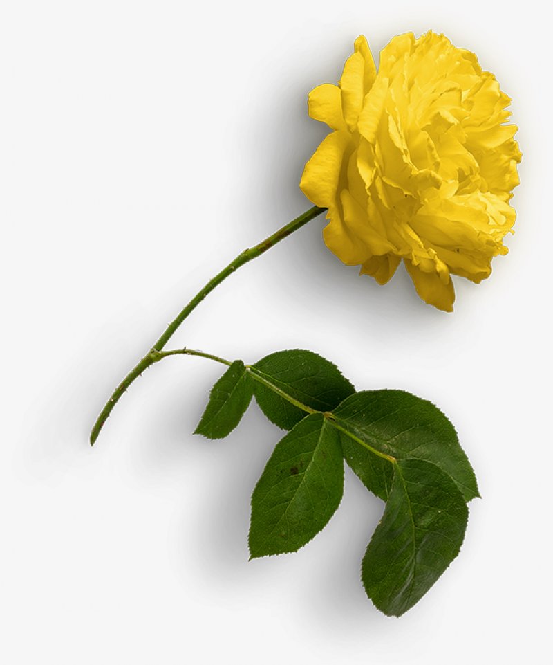 ed893b679815445adf73357de993f227bdfbeaf7ff27-GXKFcO