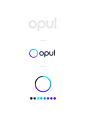 Opul Brand Identity on Behance