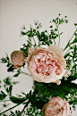 玫瑰
粉色玫瑰表示：动情在心、爱的宣言。