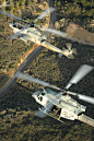 AH-1 & UH-1