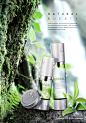 美妆海报模板护肤品化妆品高清植物叶子背景合成PSD