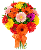 Bouquet flowers PNG