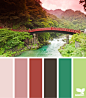 color bridge